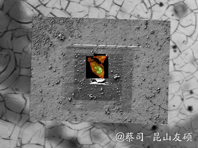 洛阳洛阳蔡司洛阳扫描电镜